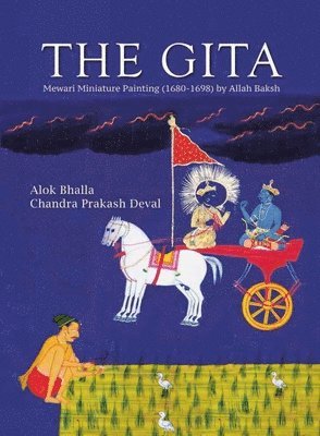 bokomslag Gita