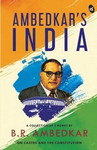 bokomslag Ambedkar's India