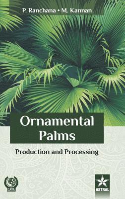 Ornamental Palms 1