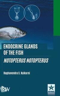 bokomslag Endocrine Glands of the Fish