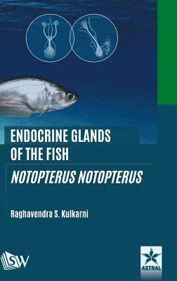 Endocrine Glands of the Fish 1