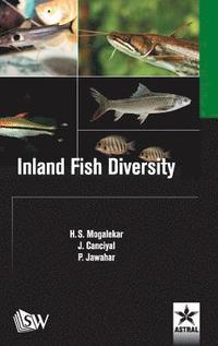 bokomslag Inland Fish Diversity
