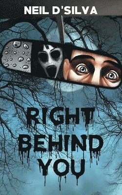 Neil D'Silva - Right Behind You, Häftad