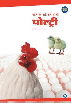 Sone ke Ande dene vali Poultry 1