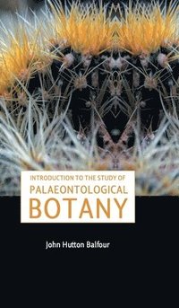 bokomslag Introduction to the Study of Palaeontological Botany