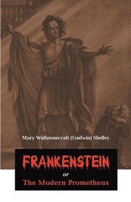 bokomslag Frankenstein or the Modern Prometheus