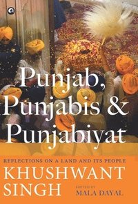 bokomslag PUNJAB, PUNJABIS AND PUNJABIYAT