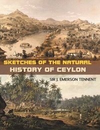 bokomslag Sketches of the Natural History of Ceylon