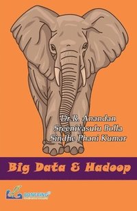 bokomslag Bigdata & Hadoop