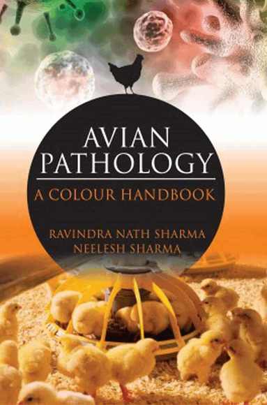 Ravindra Nath Sharma, Neelash Sharma - Avian Pathology, Inbunden
