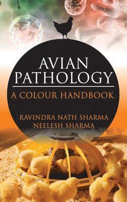 bokomslag Avian Pathology