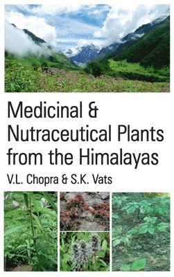 bokomslag Medicinal and Nutraceutical Plants from the Himalayas