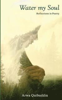 bokomslag Water My Soul: Reflections in poetry