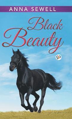 bokomslag Black Beauty