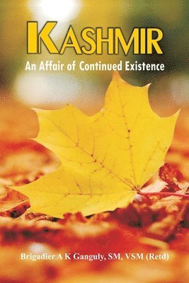 bokomslag Kashmir: An Affair of Continued Existence
