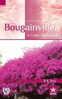 bokomslag Bougainvillea