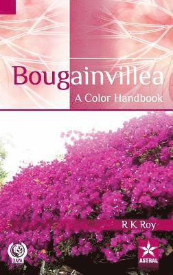 bokomslag Bougainvillea