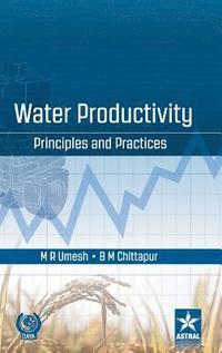 bokomslag Water Productivity