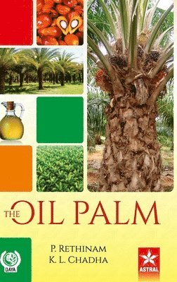 Oil Palm 1