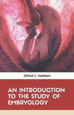 Alfred C Haddon, Alfred C. Haddon - Introduction to the Study of Embryology, Häftad