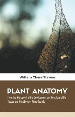 Plant Anatomy 1