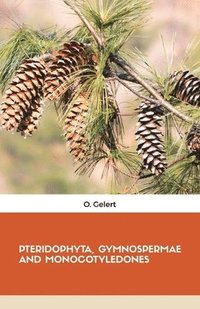 bokomslag Pteridophyta, Gymnospermae and Monocotyledones