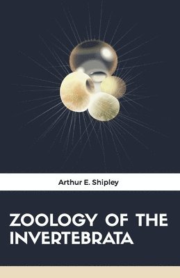 Arthur E Shipley - Zoology of the Invertebrata, Häftad