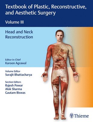bokomslag Textbook of Plastic, Reconstructive, and Aesthetic Surgery, Vol 3