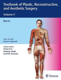 bokomslag Textbook of Plastic, Reconstructive, and Aesthetic Surgery, Vol 5