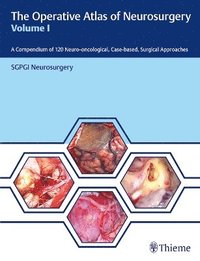 bokomslag The Operative Atlas of Neurosurgery, Vol I