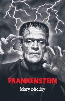 bokomslag Frankenstein