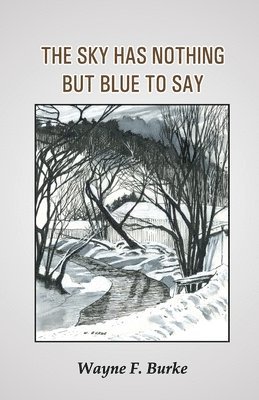 Wayne F. Burke - The Sky Has Nothing But Blue to Say, Häftad