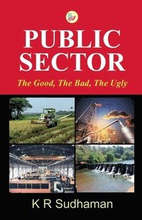 bokomslag Public Sector