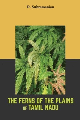 The Ferns of the plains of Tamilnadu 1
