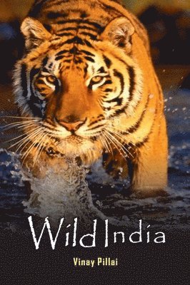 Wild India 1