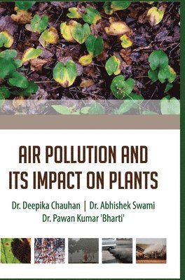Deepika Chauhan, DEEPIKA CHAUHAN - Air Pollution and Its Impact on Plants, Inbunden