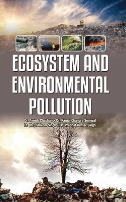 Ecosystem and Environmental Pollution 1