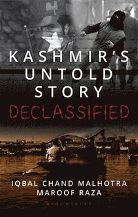 bokomslag Kashmir' s Untold Story