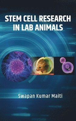bokomslag Stem Cell Research in Lab Animals