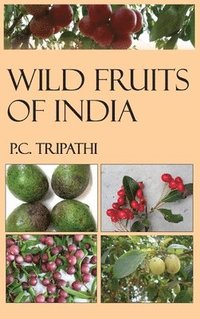 bokomslag Wild Fruits of India