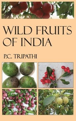 Wild Fruits of India 1