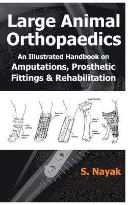 Large Animal Orthopedics: An Illustrated Handbook on Amputations, Prosthetic Fittings and Rehabilitations 1