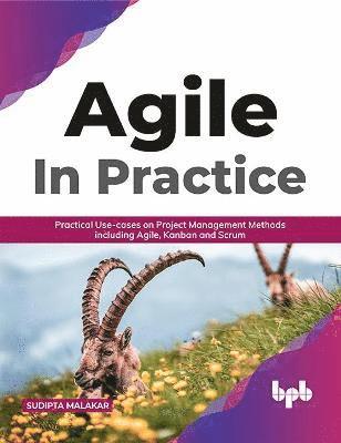 bokomslag AGILE in Practice