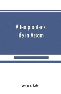 tea planter's life in Assam