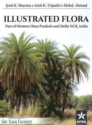 bokomslag Illustrated Flora