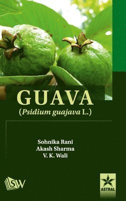 Akash Sharma - Guava, Inbunden