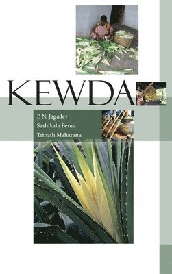 bokomslag Kewda