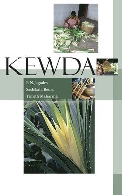 Kewda: Cultivation and Perfume Production 1