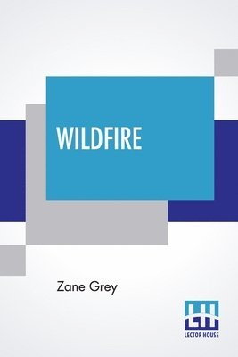 bokomslag Wildfire