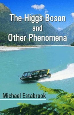 The Higgs Boson and Other Phenomena 1